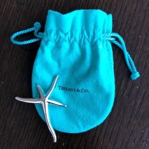 Tiffany & Co. Elsa Peretti Starfish Brooch in sterling silver